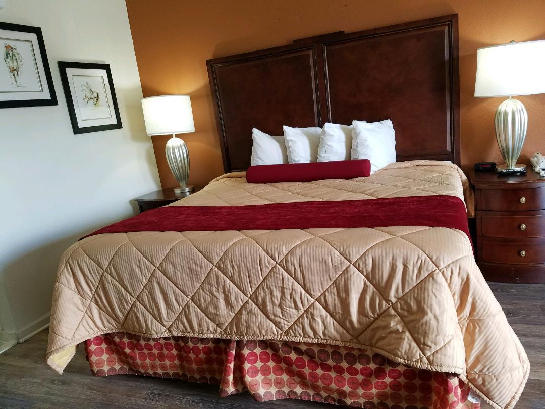 Royal Inn Sparta Εξωτερικό φωτογραφία